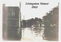 Liv-Manor-Flood-02.JPG