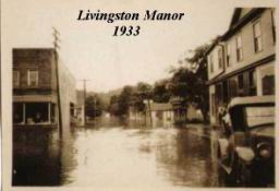 Liv-Manor-Flood-06.JPG