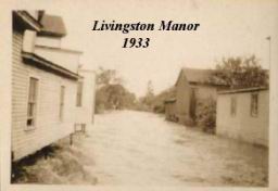 Liv-Manor-Flood-10.JPG