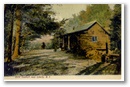 liberty_solidcomfort_1917.jpg