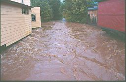 Flood-2004-2.jpg