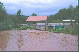 flood-2004-FultonPark.jpg
