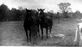 buddy&horses.jpg